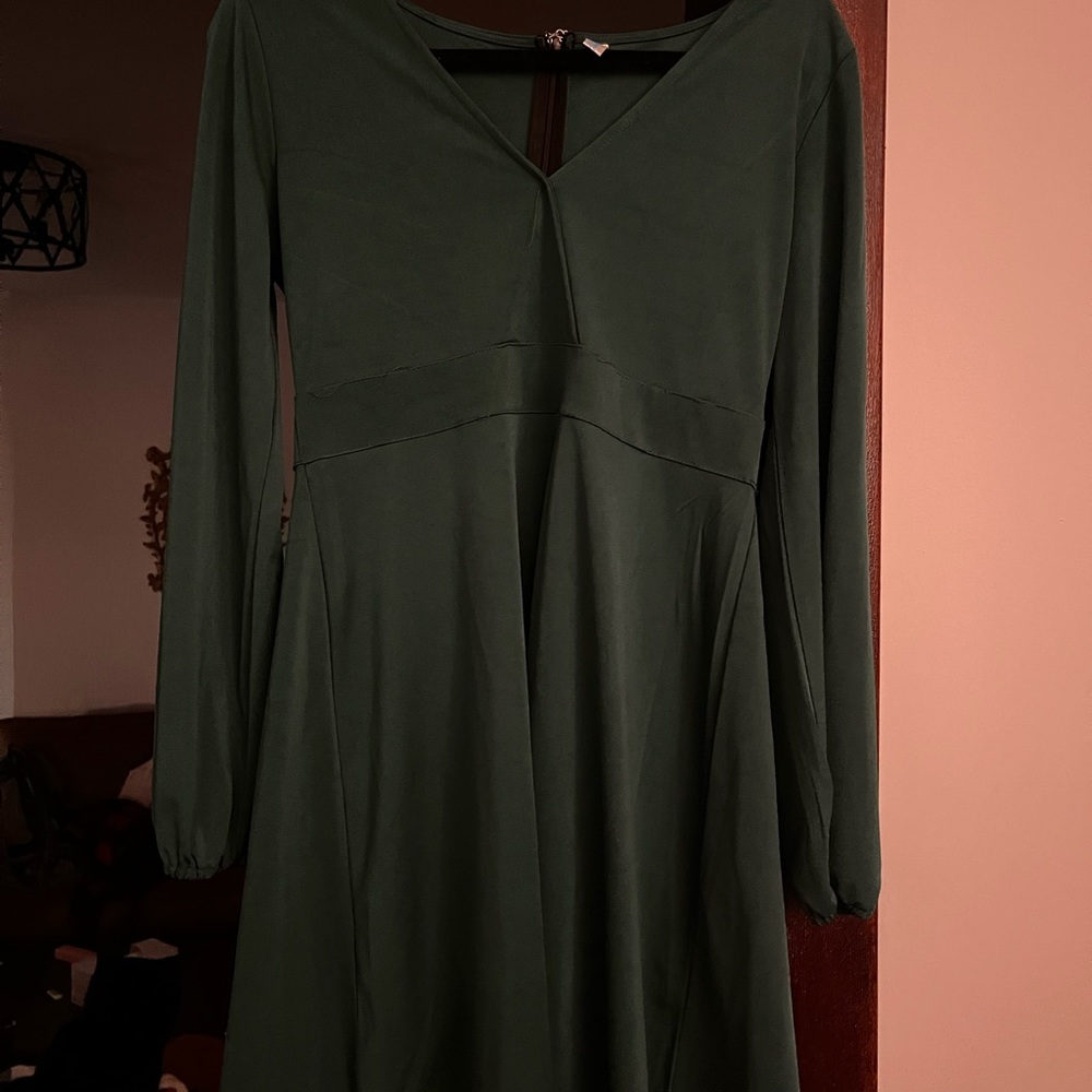 Forest Green Long Sleeved Skater Dress